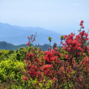 評論圖片 5