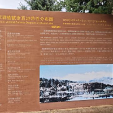 評論圖片 6