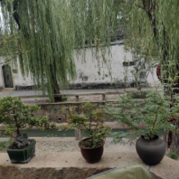 評論圖片 3