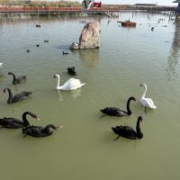 評論圖片 2