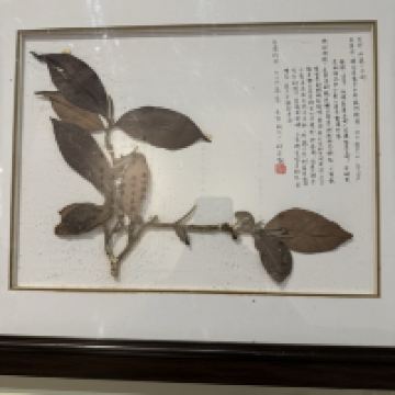 評論圖片 5