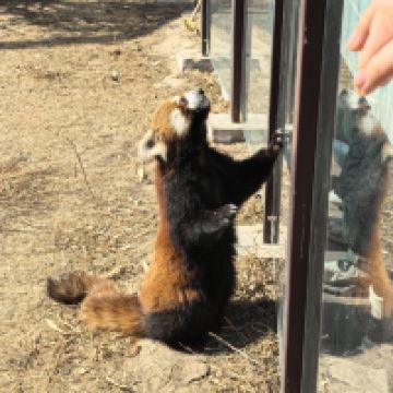 評論圖片 8