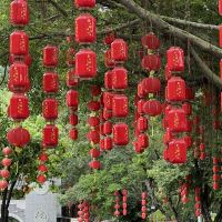 評論圖片 2