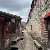 評論圖片 3