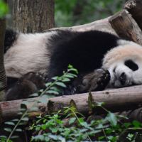 評論圖片 7