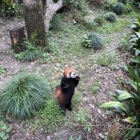 評論圖片 6