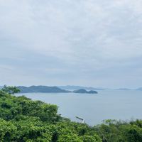評論圖片 5