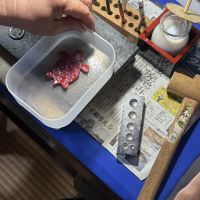 評論圖片 2
