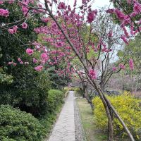 評論圖片 1