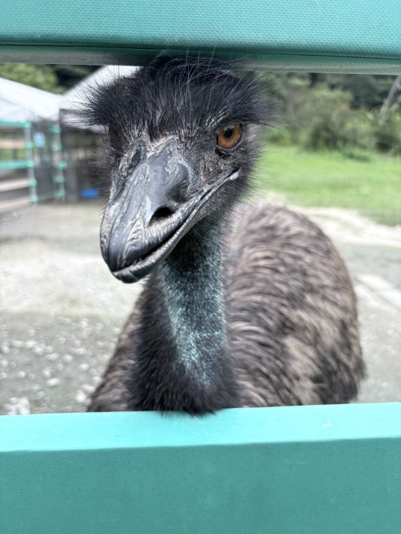 最新】掛川花鳥園 - チケット、営業時間、口コミ、写真 [2026年] Trip.com