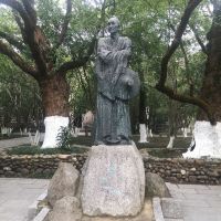 評論圖片 6