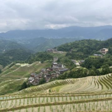 評論圖片 6