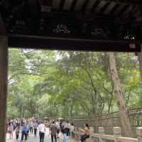 評論圖片 1