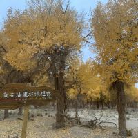 評論圖片 1
