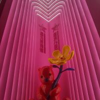 評論圖片 4