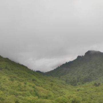 評論圖片 7