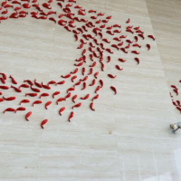 評論圖片 2