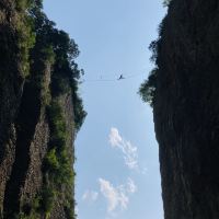 評論圖片 5