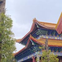 評論圖片 3