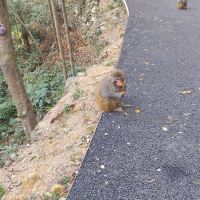 評論圖片 3