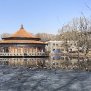 評論圖片 2