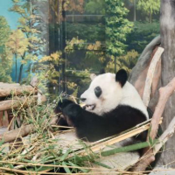 評論圖片 4