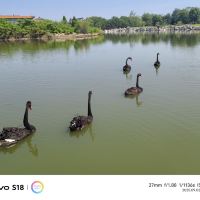 評論圖片 7