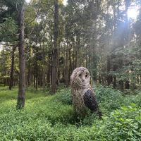評論圖片 4