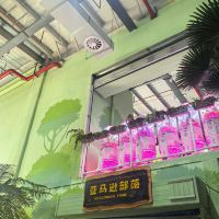 評論圖片 3