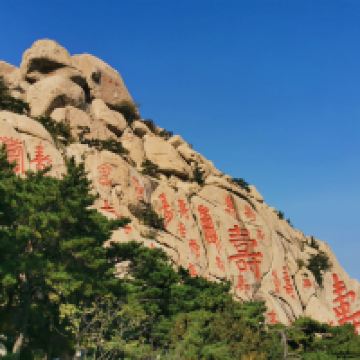 評論圖片 4