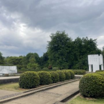 評論圖片 5