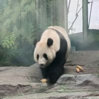 評論圖片 3