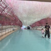 評論圖片 1