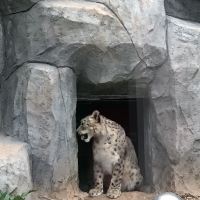 評論圖片 2
