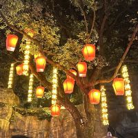 評論圖片 5