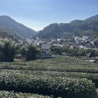 評論圖片 6