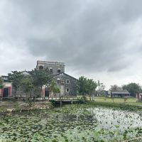評論圖片 6