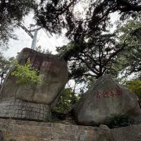 評論圖片 5