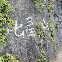 評論圖片 3