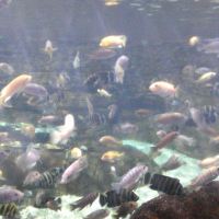 評論圖片 5