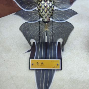 評論圖片 9