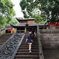 評論圖片 2