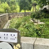 評論圖片 4