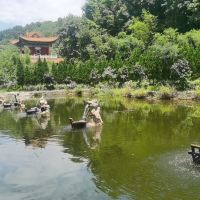 評論圖片 1