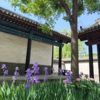 評論圖片 7