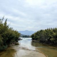 評論圖片 4