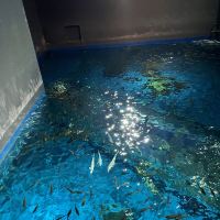 評論圖片 5