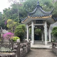 評論圖片 5