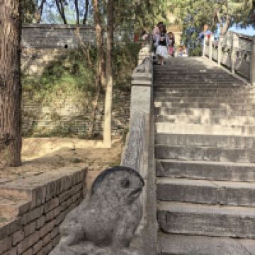 評論圖片 8
