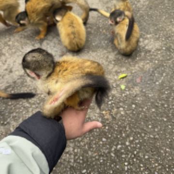評論圖片 3